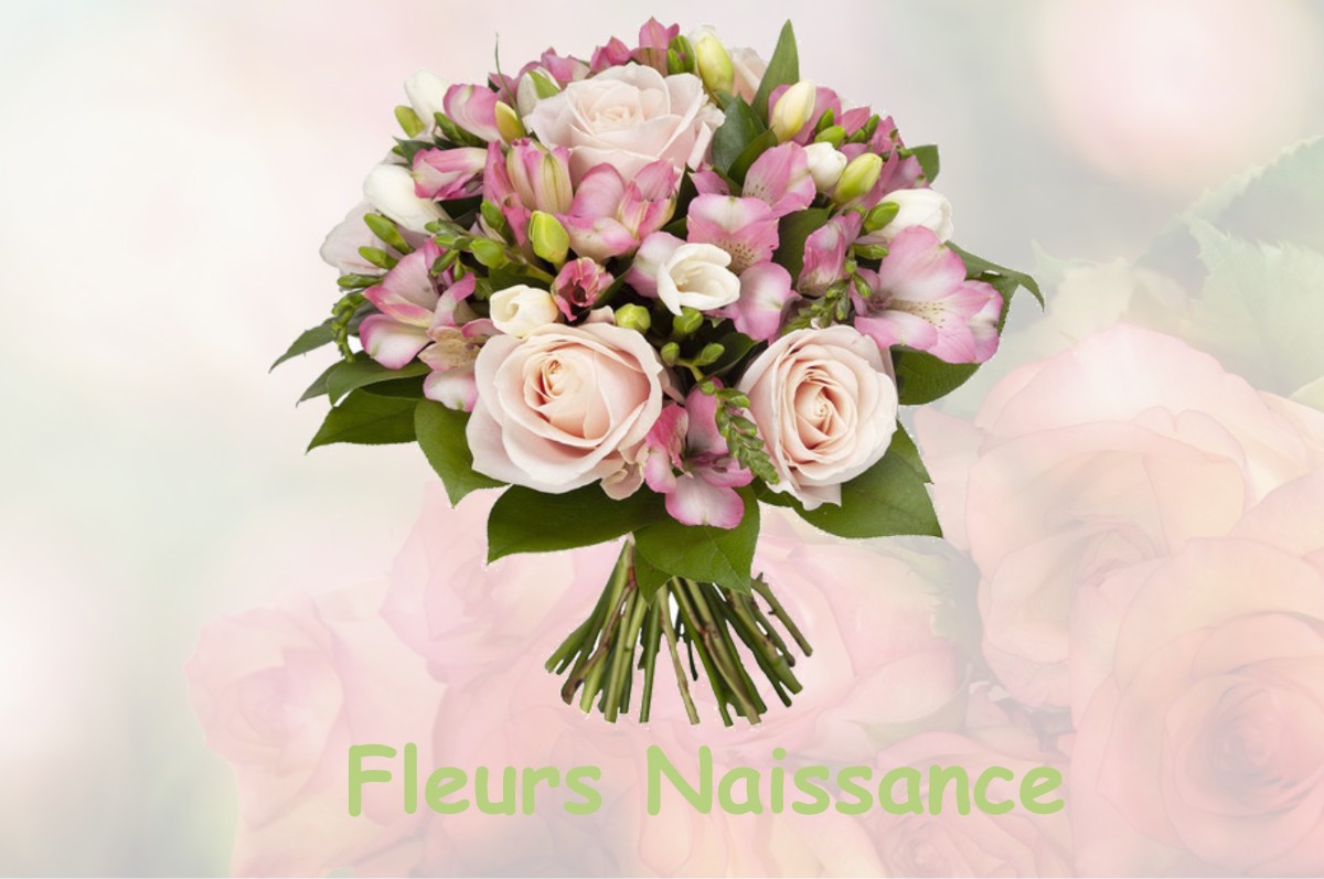 fleurs naissance VERNIOZ