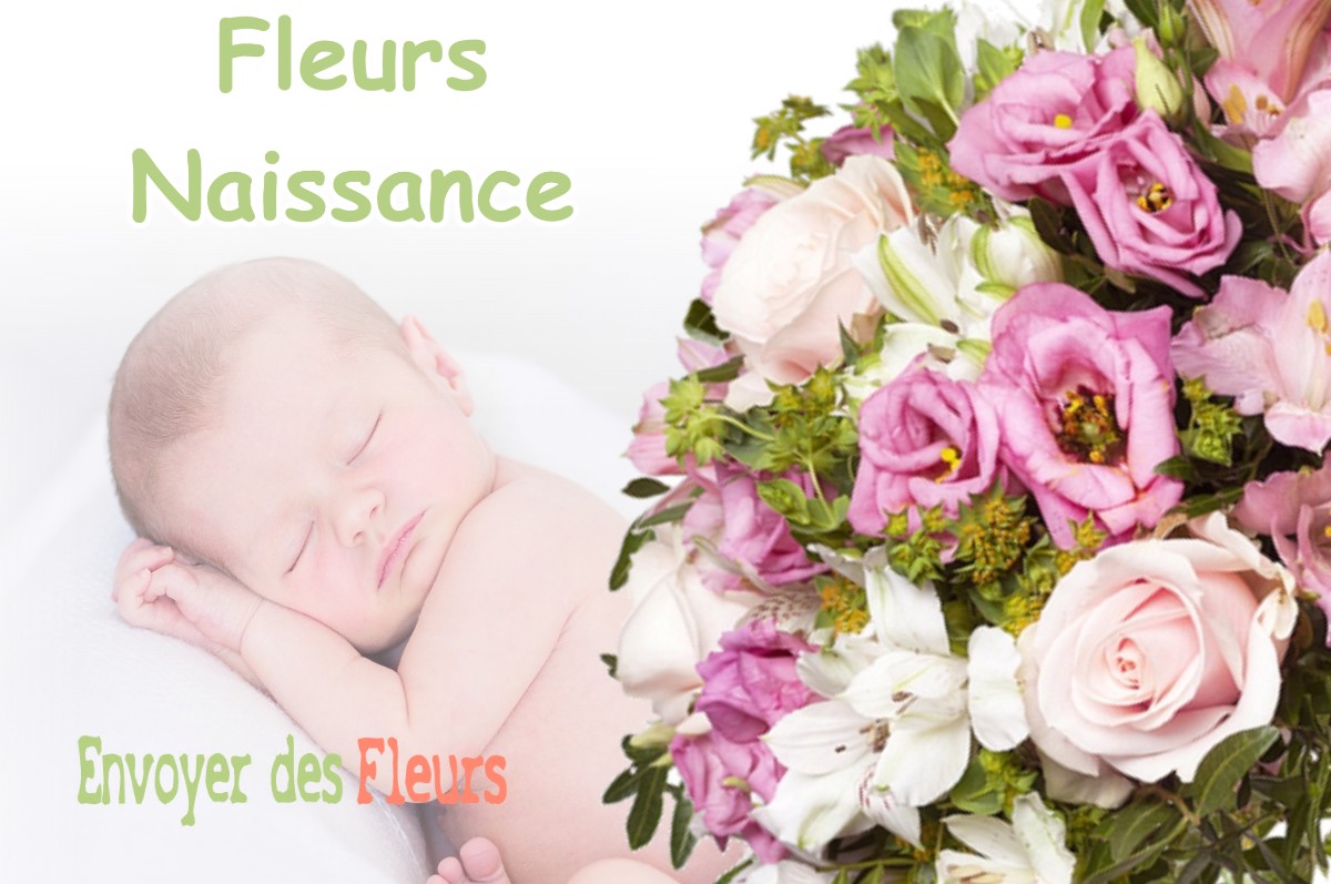 lIVRAISON FLEURS NAISSANCE à VERNIOZ